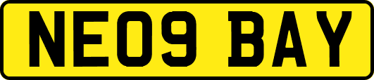 NE09BAY