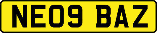 NE09BAZ