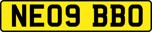 NE09BBO
