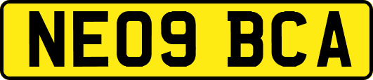 NE09BCA