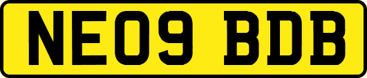 NE09BDB
