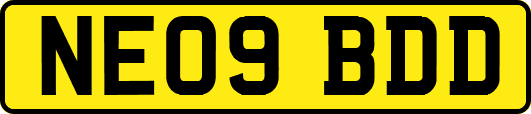 NE09BDD