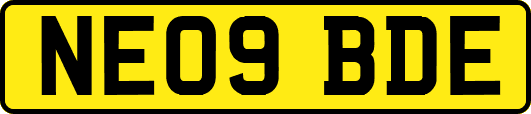 NE09BDE