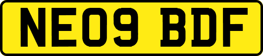 NE09BDF