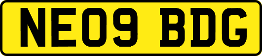 NE09BDG