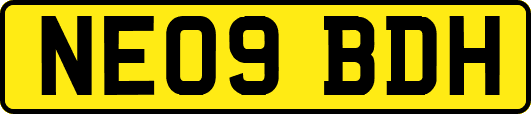 NE09BDH