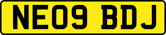 NE09BDJ