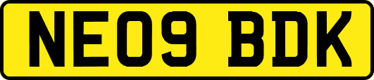NE09BDK