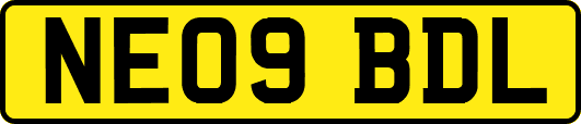 NE09BDL