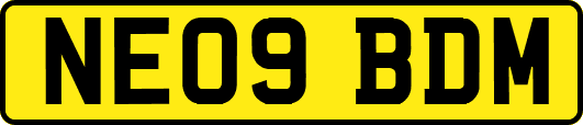 NE09BDM