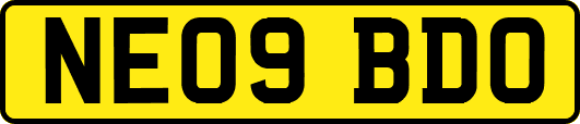 NE09BDO