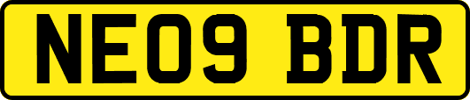NE09BDR