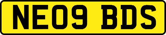NE09BDS