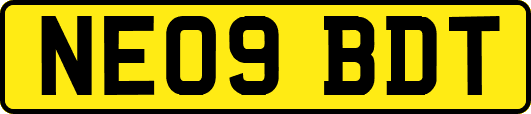 NE09BDT