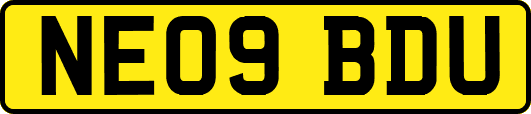 NE09BDU