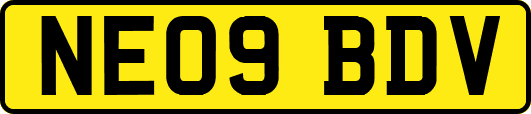 NE09BDV