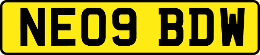 NE09BDW