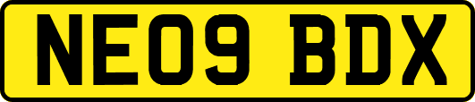 NE09BDX