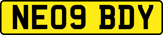 NE09BDY