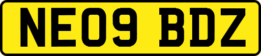 NE09BDZ