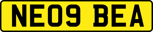 NE09BEA