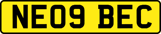 NE09BEC