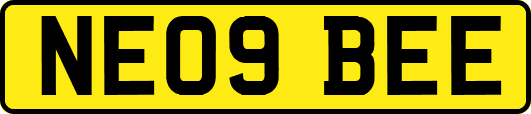 NE09BEE