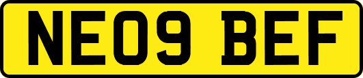 NE09BEF