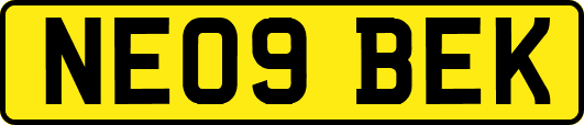 NE09BEK