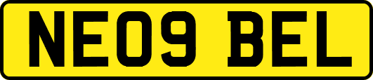 NE09BEL