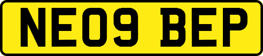 NE09BEP