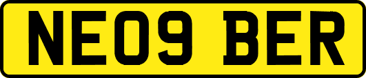 NE09BER