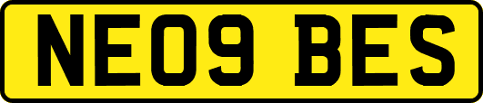 NE09BES