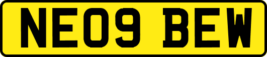 NE09BEW