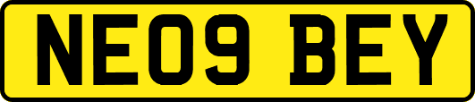 NE09BEY