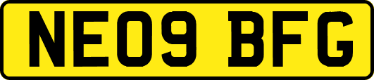 NE09BFG