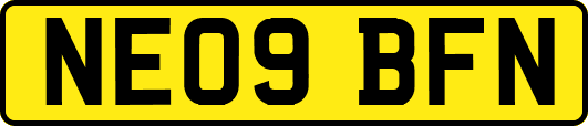 NE09BFN