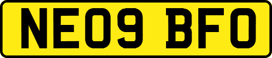NE09BFO