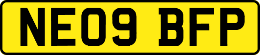NE09BFP