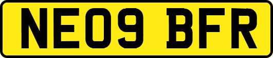 NE09BFR