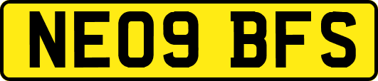 NE09BFS