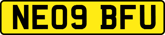 NE09BFU