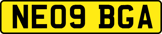 NE09BGA