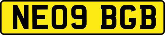 NE09BGB