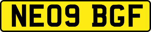 NE09BGF