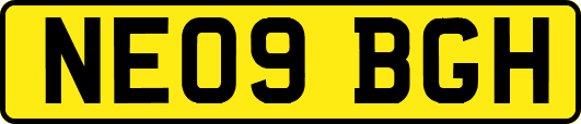 NE09BGH