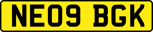 NE09BGK