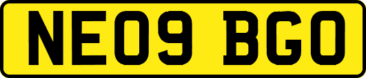 NE09BGO