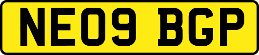 NE09BGP