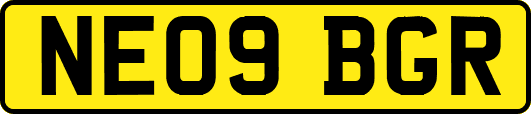 NE09BGR